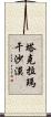 塔克拉瑪干沙漠 Scroll