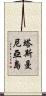 塔斯曼尼亞島 Scroll