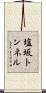 塩坂トンネル Scroll
