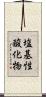 塩基性酸化物 Scroll