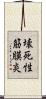 壊死性筋膜炎 Scroll