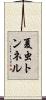 夏虫トンネル Scroll