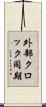 外部クロック同期 Scroll