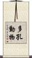 多孔動物 Scroll