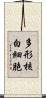 多形核白細胞 Scroll