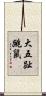 大五趾跳鼠 Scroll