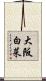 大阪白菜 Scroll