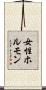 女性ホルモン Scroll