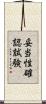 妥当性確認試験 Scroll
