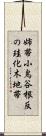 姉帯小鳥谷根反の珪化木地帯 Scroll