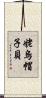 姥烏帽子貝 Scroll