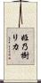 姫乃樹リカ Scroll