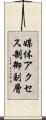 媒体アクセス制御副層 Scroll