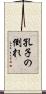 孔子の倒れ Scroll