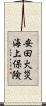 安田火災海上保険 Scroll