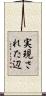 実現された辺 Scroll