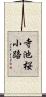 寺池桜小路 Scroll