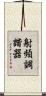 射頻調諧器 Scroll