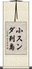 小スンダ列島 Scroll