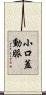 小口蓋動脈 Scroll