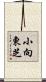 小向東芝 Scroll