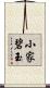 小家碧玉 Scroll