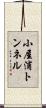 小屋浦トンネル Scroll
