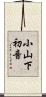 小山下初音 Scroll
