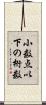 小数点以下の桁数 Scroll