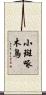 小斑啄木鳥 Scroll