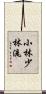 Shobayashi Shorin-Ryu Scroll