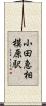 小田急相模原駅 Scroll