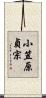 小笠原貞宗 Scroll