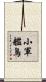 小軍艦鳥 Scroll