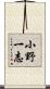 小野一志 Scroll