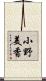 小野美香 Scroll