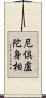尼倶盧陀身相 Scroll