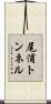 尾浦トンネル Scroll