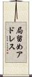 局留めアドレス Scroll