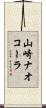 山崎ナオコーラ Scroll