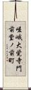 嵯峨大覚寺門前堂ノ前町 Scroll