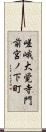 嵯峨大覚寺門前宮ノ下町 Scroll