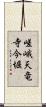 嵯峨天竜寺今堀 Scroll