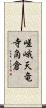嵯峨天竜寺角倉 Scroll