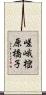 嵯峨樒原橋子 Scroll