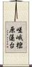 嵯峨樒原蓮台 Scroll