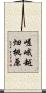 嵯峨越畑桃原 Scroll