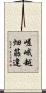嵯峨越畑筋違 Scroll
