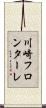 川崎フロンターレ Scroll