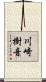 川崎樹音 Scroll